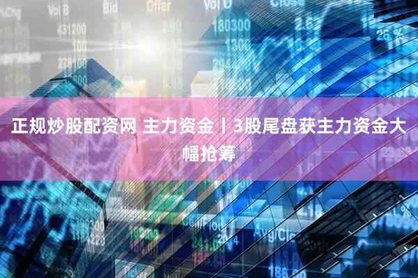 正规炒股配资网 主力资金丨3股尾盘获主力资金大幅抢筹