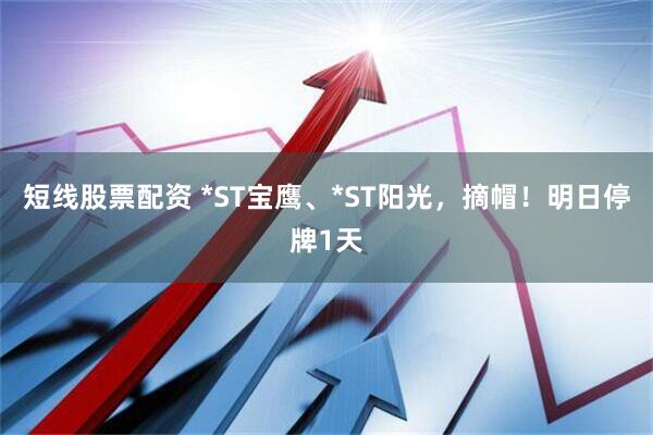 短线股票配资 *ST宝鹰、*ST阳光,摘帽!明日停牌1天